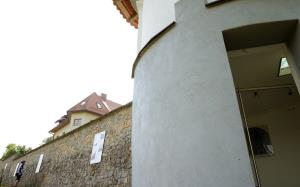 Plemiške rodbine na grajskem obzidju